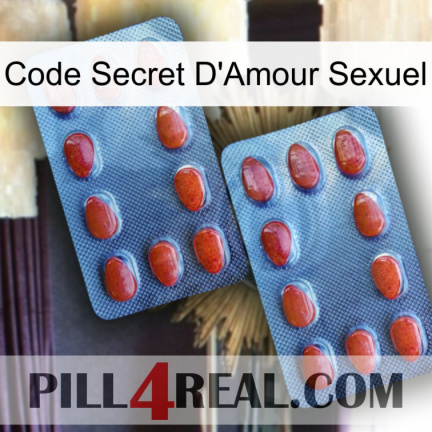 Sex Love Secret Code 05